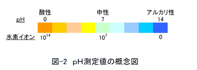 図-2 pH測定値の概念図